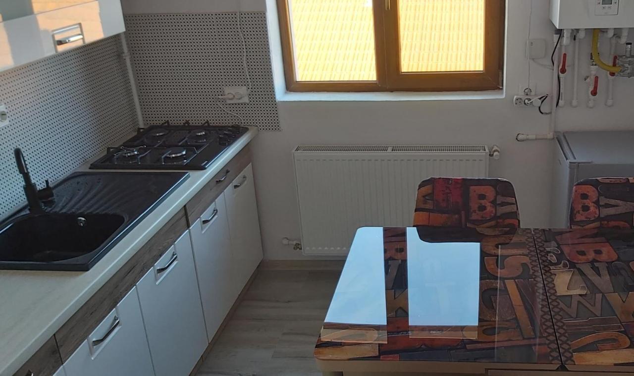Studio Elisa Apartamento Caransebeş Exterior foto