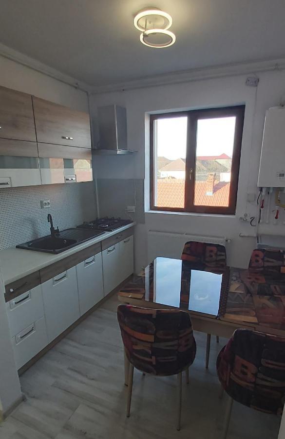 Studio Elisa Apartamento Caransebeş Exterior foto